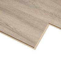 2653 Дуб Чанкли фото 2