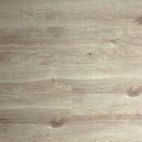 Дуб Левантский фото 0