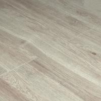 Дуб Левантский фото 1