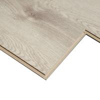 Дуб Левантский фото 2