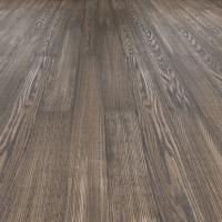 WS-004 Дуб Феникс фото 2