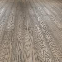 WS-005 Дуб Орион фото 1