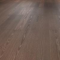 WS-006 Дуб Сириус фото 1