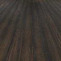 WS-007 Дуб Диона фото 1