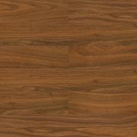 WS-008 Орех Американский Антарес фото 1