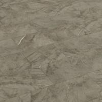 5505 Tauber фото 2