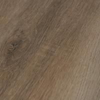 4162 Монтеверди фото 2