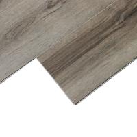 4163 Аристотель фото 3