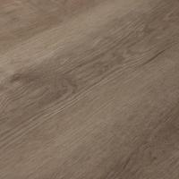 4164 Себастьян фото 2