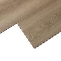 4164 Себастьян фото 3