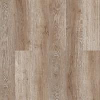 Дуб Стоктон фото 3