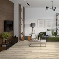 9531-2A Дуб Кавказский фото 2