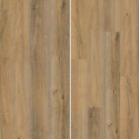 L-20314 Дуб Горный фото 2