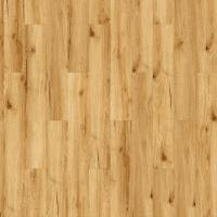 EIR3052-2 Дуб Илона фото 3