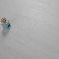 16824 Дуб Арктический фото 1