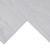 16824 Дуб Арктический фото 3