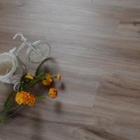 16834 Груша Карамель фото 1