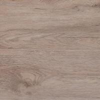 F-0057 Дуб Альпийский фото 3