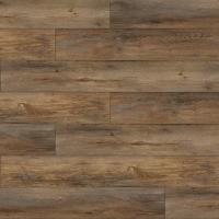 MV01 Дуб Аридас фото 1