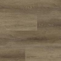 MV34 Дуб Данте фото 1