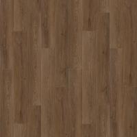 6244 Дуб Веларус Античный фото 1