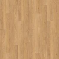 6248 Дуб Веларус Натуральный фото 1