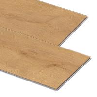 6248 Дуб Веларус Натуральный фото 2