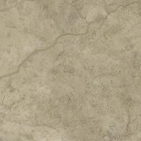 56M1 Клео фото 2