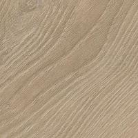 31 Divine Oak Champagne фото 0