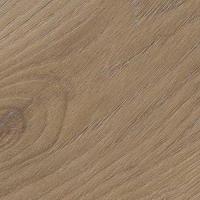 32 Divine Oak Cookie фото 0