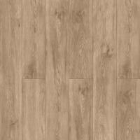 1304 Дуб Стаут фото 3