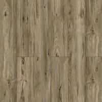 1306 Дуб Валиант фото 3