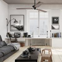 1404 Дуб Феликс фото 2