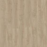 311 Silverleaf Oak фото 1