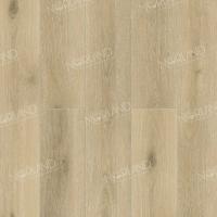 1022-10 Solem фото 1