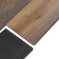 2407 Ганимед фото 3