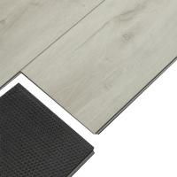 2755 Феба фото 3