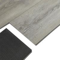 531 Сириус фото 3