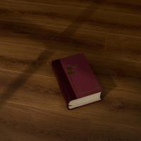 STH078 Винталь фото 1