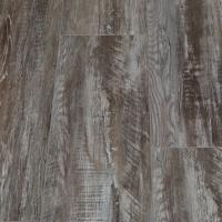 SW 1009 Атабаска фото 1