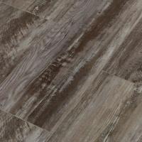 SW 1009 Атабаска фото 2