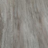 SW 1019 Альтеро фото 2