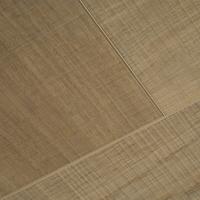 SWP 2006 Поррета фото 2