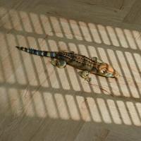 Кварцвиниловая плитка Tarkett Art Vinyl Lounge Demure