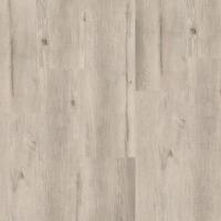 Мигель (Migel) фото 0