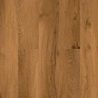 1004-24 Securitas фото 2