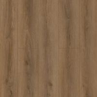 1012-4 Veritas фото 1