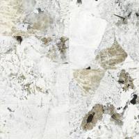 1009-11 Graviton фото 1