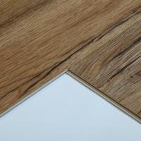 TC211-8 Sienna фото 2