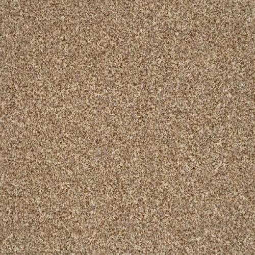 Ковролин AW Terra 42